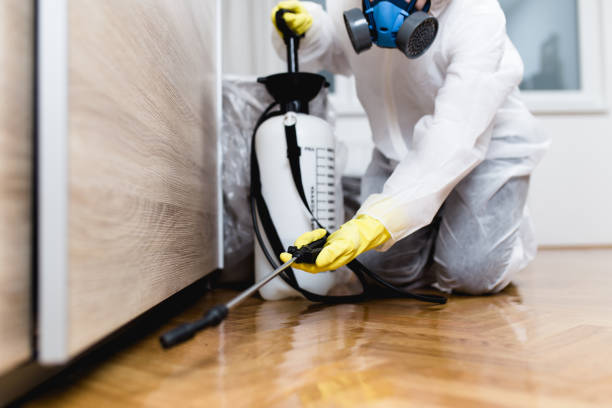 Best Termite Control Services  in Nett, MO
