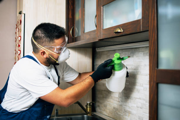 Flea Control Services in Monett, MO