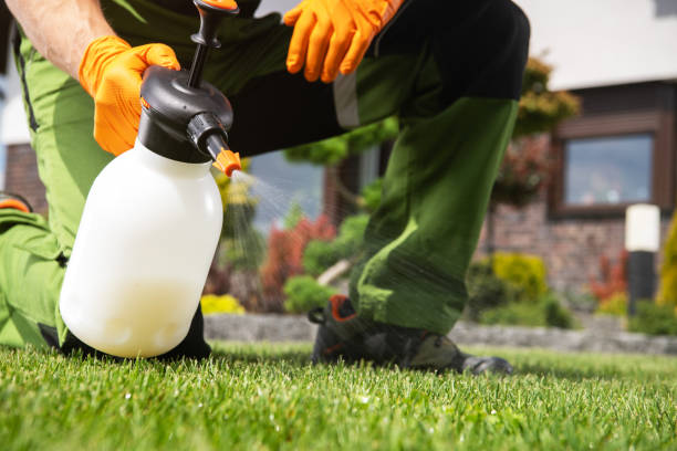 Best Pest Removal Services  in Nett, MO