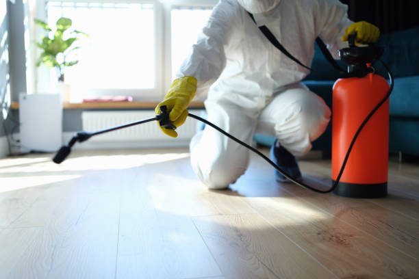 Best Flea Control Services  in Nett, MO