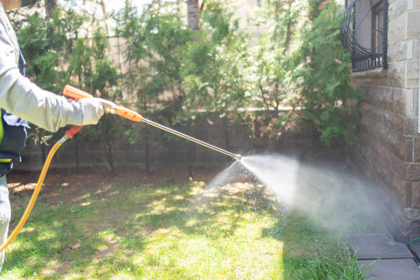 Professional Pest Control in Monett, MO