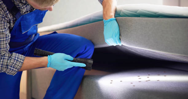 Best Exterminator Services  in Nett, MO