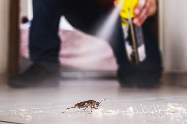 Reliable Monett, MO Pest Control Solutions