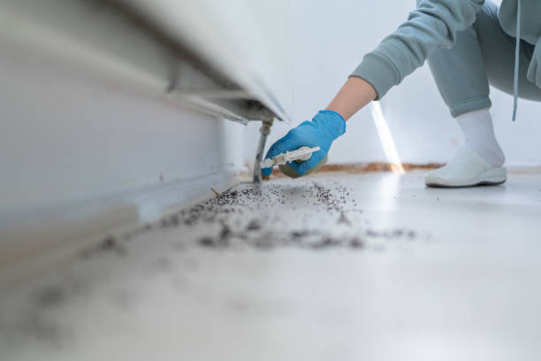 Best Insect Control  in Nett, MO